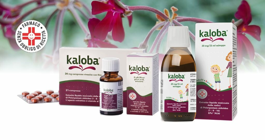 Kaloba attenua il raffreddore